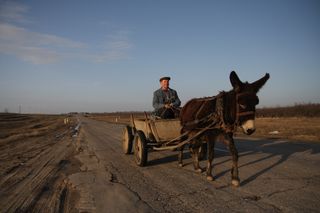 Podpora ekologického zemědělství v Moldavsku