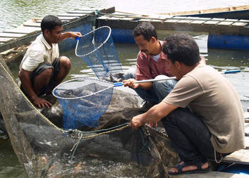 Caritas Czech Republic in Indonesia