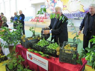 Economical forum took place on October 10–11, Guria region