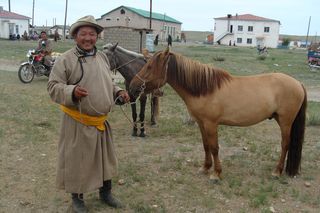 Distribution of livestock to 40 mongolian herder families affected by natural disaster, dzud