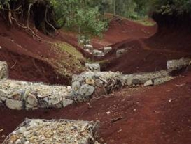 Gabion dams serving to capture the sliding soil in Kachabira woreda