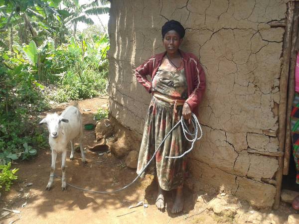 Adanech, Ethiopian woman who received a goat as part of the second wave of support