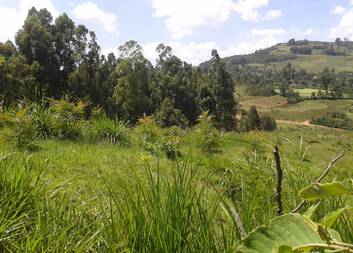 Charita ČR zahajuje projekt v etiopské oblasti Kedida Gamela