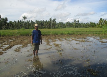 Filipínským pěstitelům rýže se dostane podpory