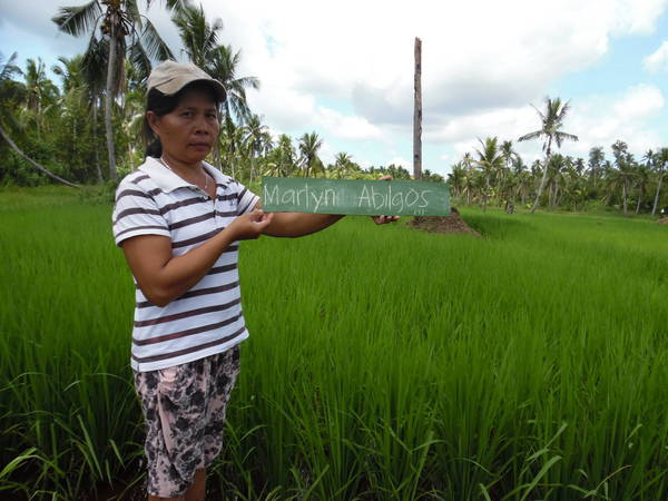 Faremre shows the status of received seeds