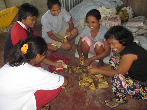 Women peeling bananas in preparation for organic fertilizer