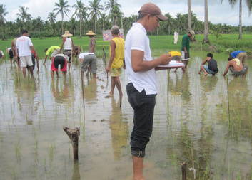 We are Building Samar Back Better