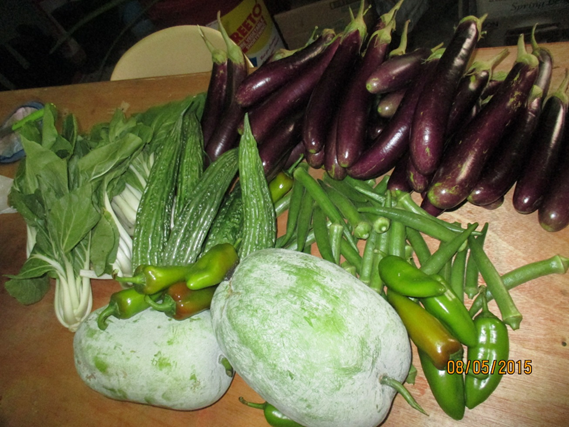 Crops in Cogon village.