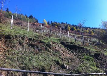 Zemědělství v Thušsku a Adžárii očima dobrovolnice