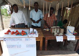 Chiyokoma primary school exhibition stand.