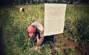 Pole ve vesničce Santa Rosa
