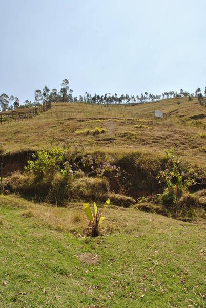 Ethiopian landscape, where there is a land restoration.