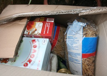 Report on helping in Ukraine