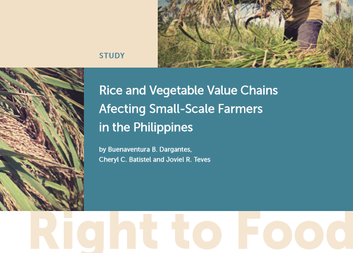 Study shows the aftermath of super typhoon Haiyan on the lives of small-scale farmers