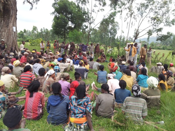 Program "cash for work".