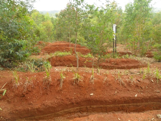 Building of irrigation system.