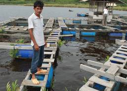 Floating hatcheries in Aceh