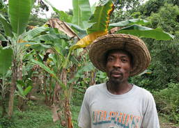 Leogane, support of small farmers