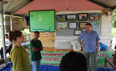 Masen - úspěšné pěstování rýže novou metodou 