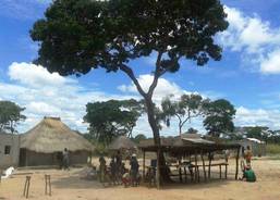 Marketplace in the village of Shibanga
