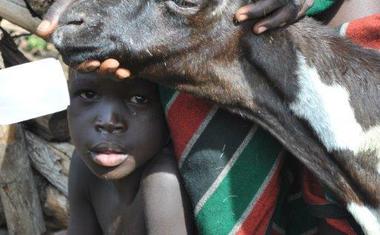 Koza je nejen zdrojem obživy, ale taky kamarádem