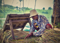 Jose Evina, rice farmer