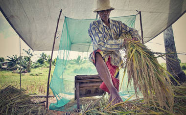 Farmář Jose Evina při práci (foto: Jakub Žák).