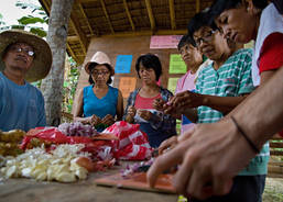 Prepairing materials for organic fertilizers