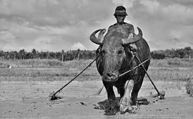 Zemědělci na Filipínách