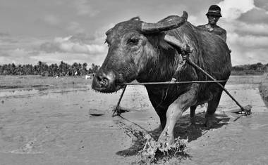 Zemědělci na Filipínách