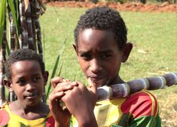Boys from Kedida Gamela (photo: Ondřej Suchánek).