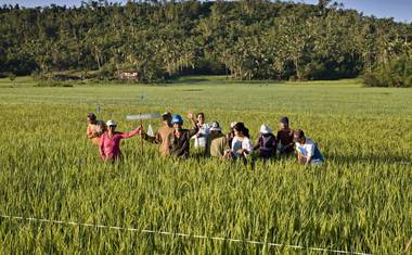 Farmáři ze vsi Amandayehn uprostřed svého pole