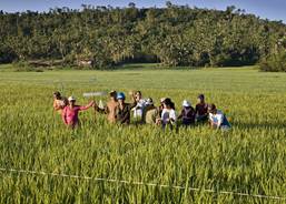 Farmers from the village Amandayehn