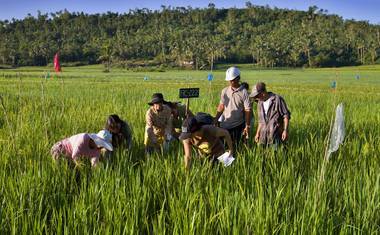 První práce na poli právě začala