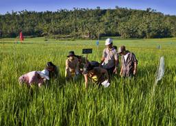Work on the field just begun