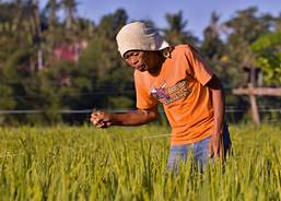 It is necessary to differentiate 