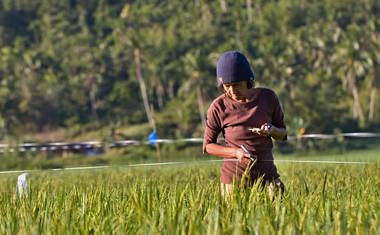 Farmáři postupovali podle instrukcí
