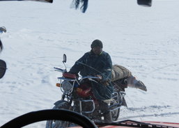 Traffic is not easier on a motorcycle or on a horseback