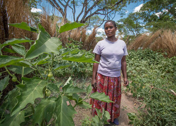 Jak Charita Česká republika snižuje svou ekologickou stopu