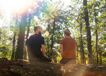 Už tuto středu pozná soutěž Labyrint 2030 svého vítěze