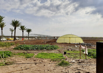 How we helped Elham get back home