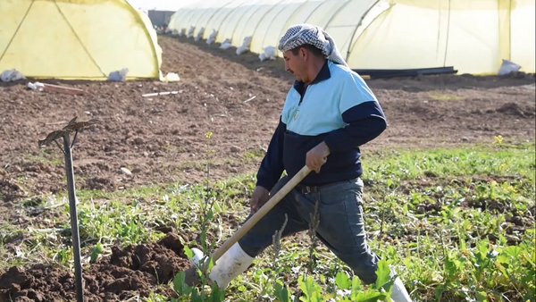 Iraqi agriculture Iraqi agriculture
