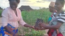 Kapinga ze Zambie se díky Charitě věnuje ekologickému zemědělství