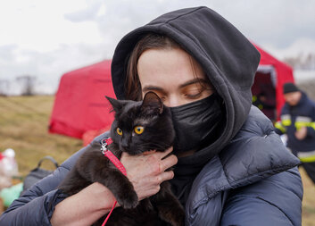 Virtual exhibition maps the milestones of aid to people affected by the war in Ukraine