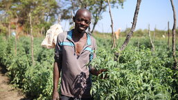Farmář Everisto se v Zambii potýká se suchem způsobeným klimatickou krizí. Charita Česká republika mu pomohla se s problémy vypořádat
