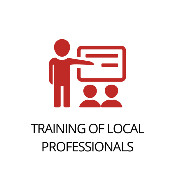 Training of local professionals