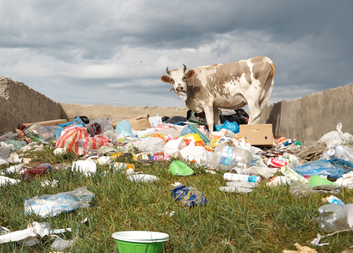 Téměř dvacet let spolupráce: odkaz Charity však v Mongolsku přetrvá