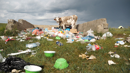 Téměř dvacet let spolupráce: odkaz Charity však v Mongolsku přetrvá