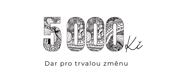 výše daru 5 000 Kč scale