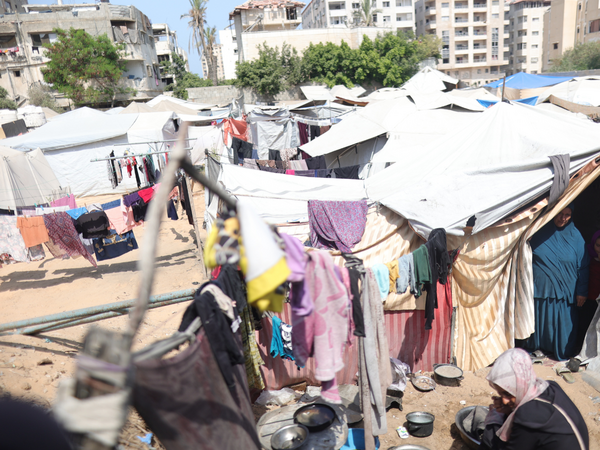 At night, the rodents run in the streets and between tents At night, the rodents run in the streets and between tents